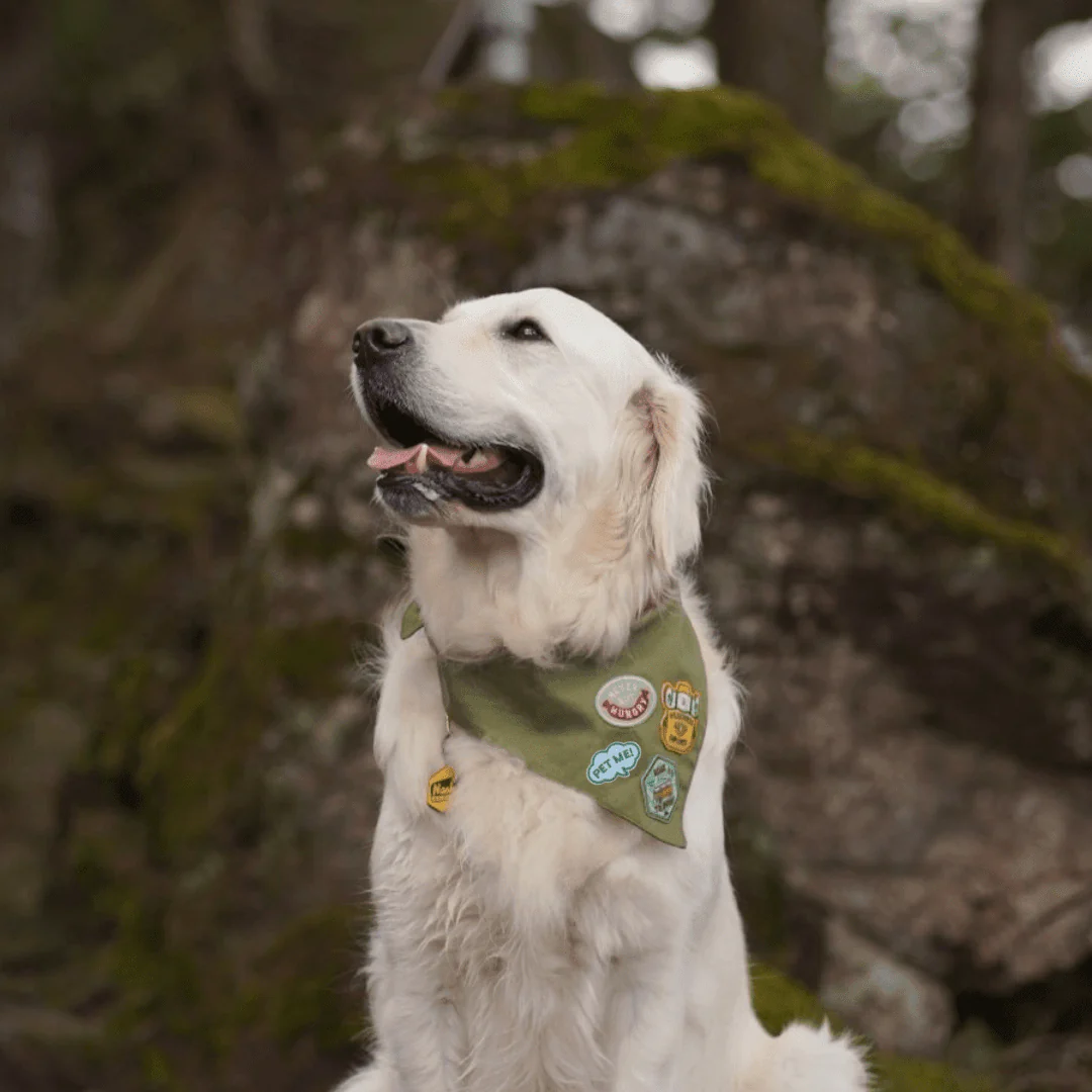 Cotton Adventure Dog Bandana | Adjustable & Customizable - Image 6