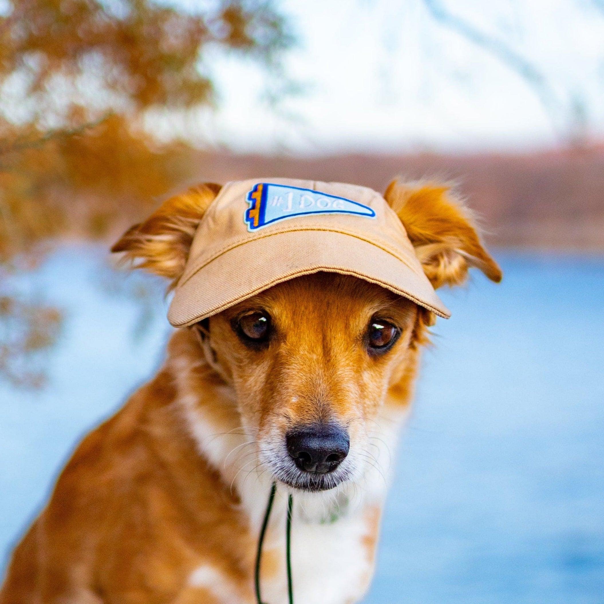 Cotton Adventure Dog Hat | Comfortable & Customizable