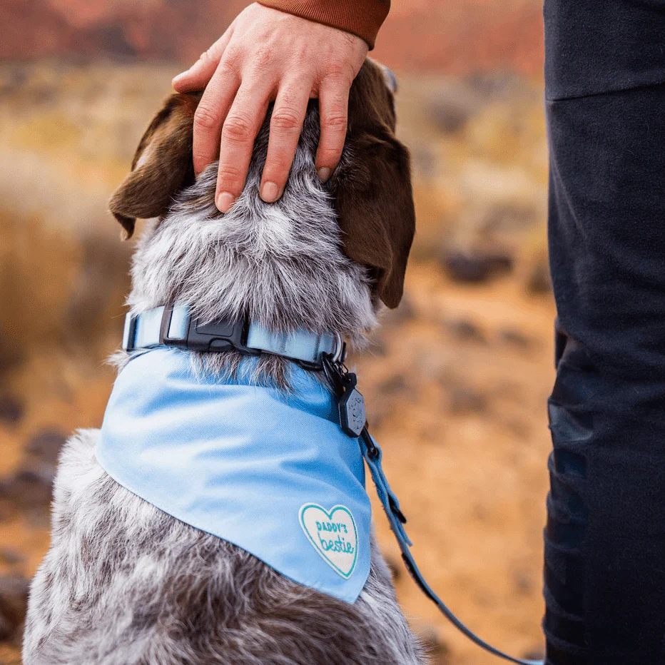 Daddy’s Bestie | Velcro or Iron-On Patches For Pets - Image 2