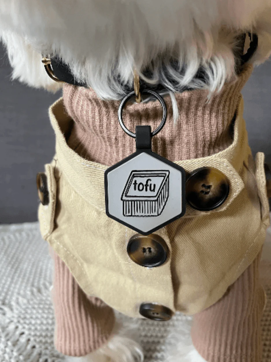 Custom Artwork Pet ID Tag | Glow In The Dark - Image 8