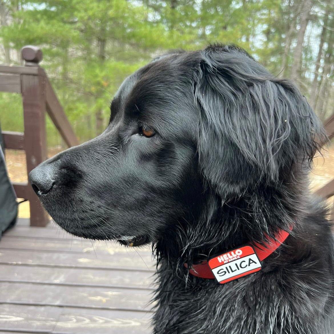 Hello My Name Is | Slide-On Silicone ID Tag - Image 7