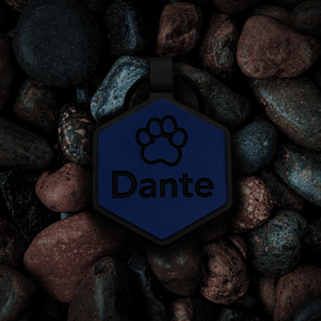Midnight Collection Silicone Dog ID Tag - Image 11
