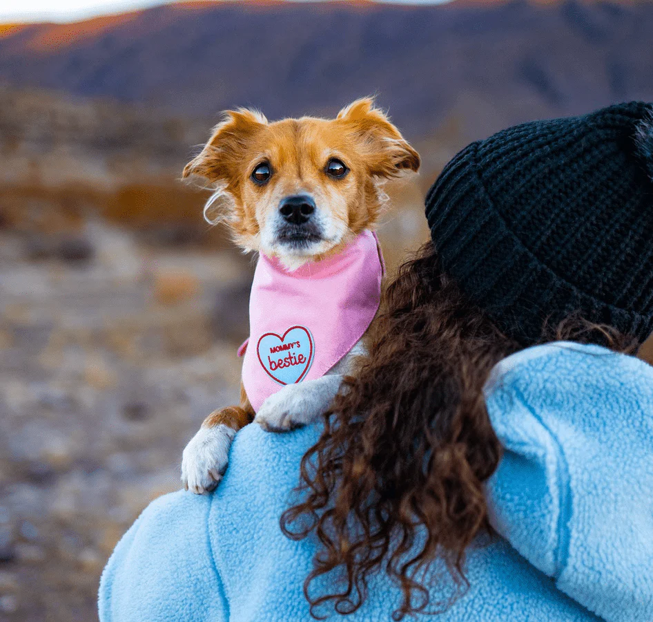 Mommy’s Bestie | Velcro or Iron-On Patches For Pets - Image 2