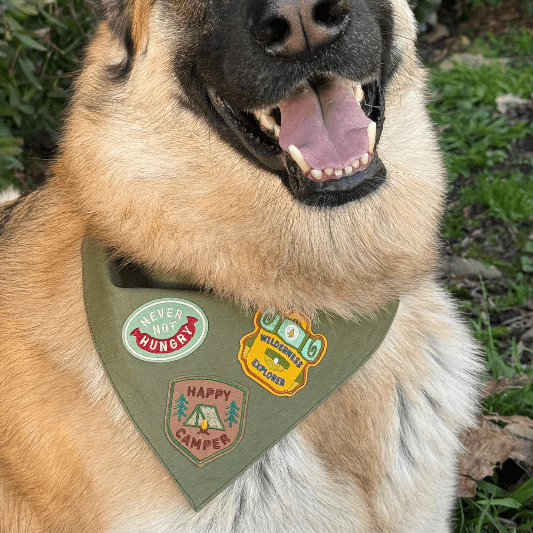 Never Not Hungry | Velcro or Iron-On Patches For Pets - Image 5