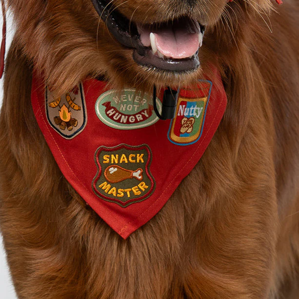 Nutty | Velcro or Iron-On Patches For Pets - Image 2