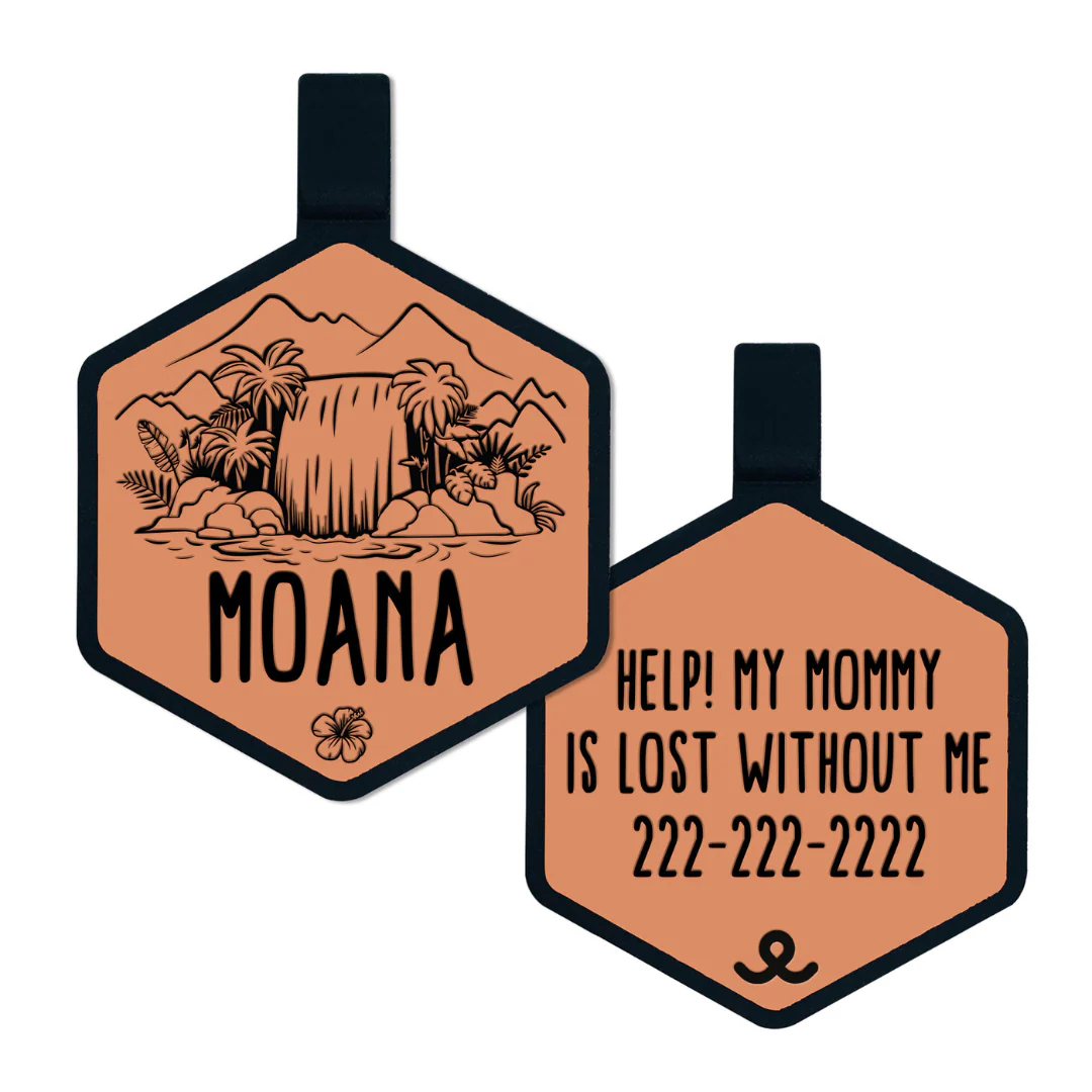 Paradise Falls Silicone ID Tag