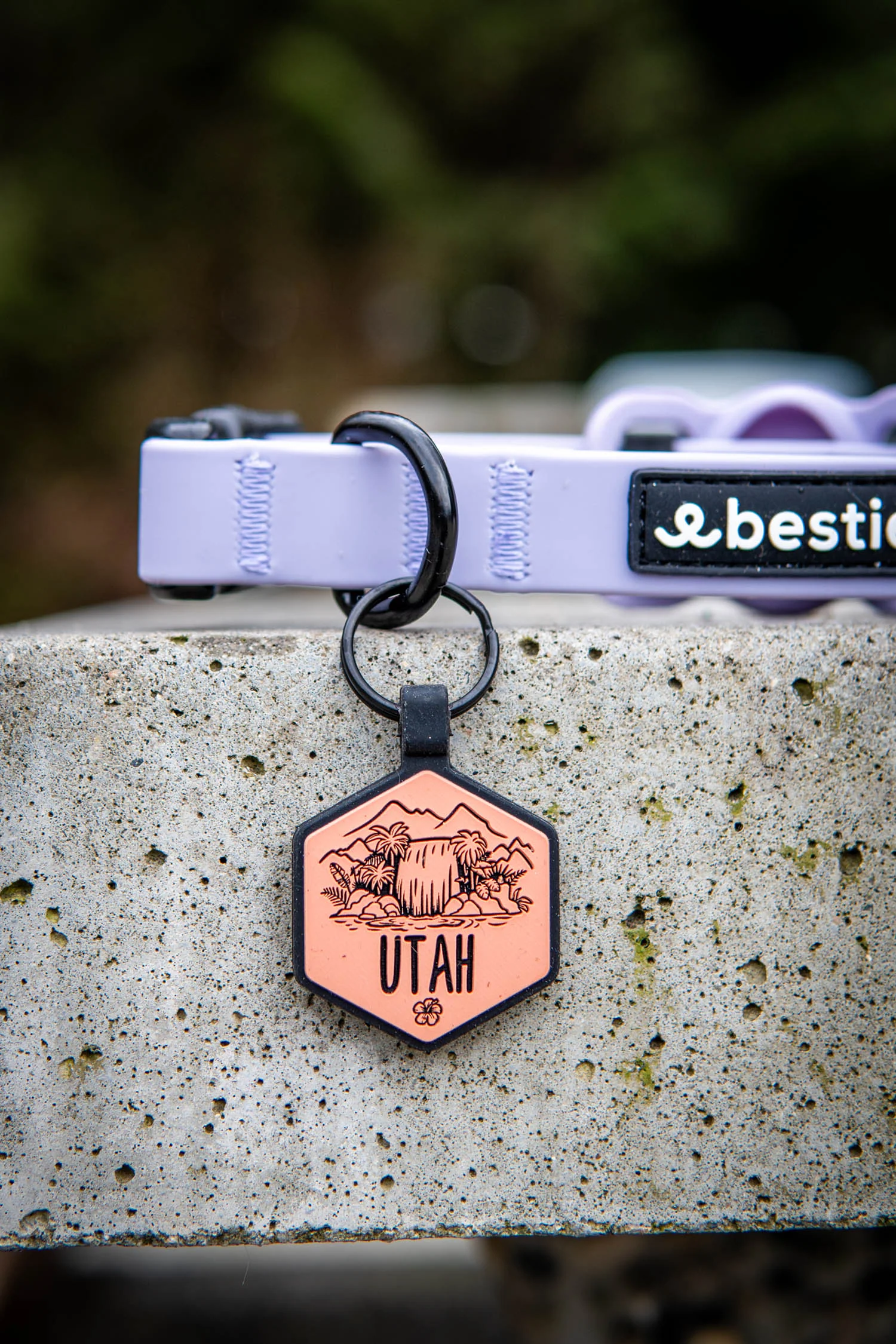 Paradise Falls Silicone ID Tag - Image 3
