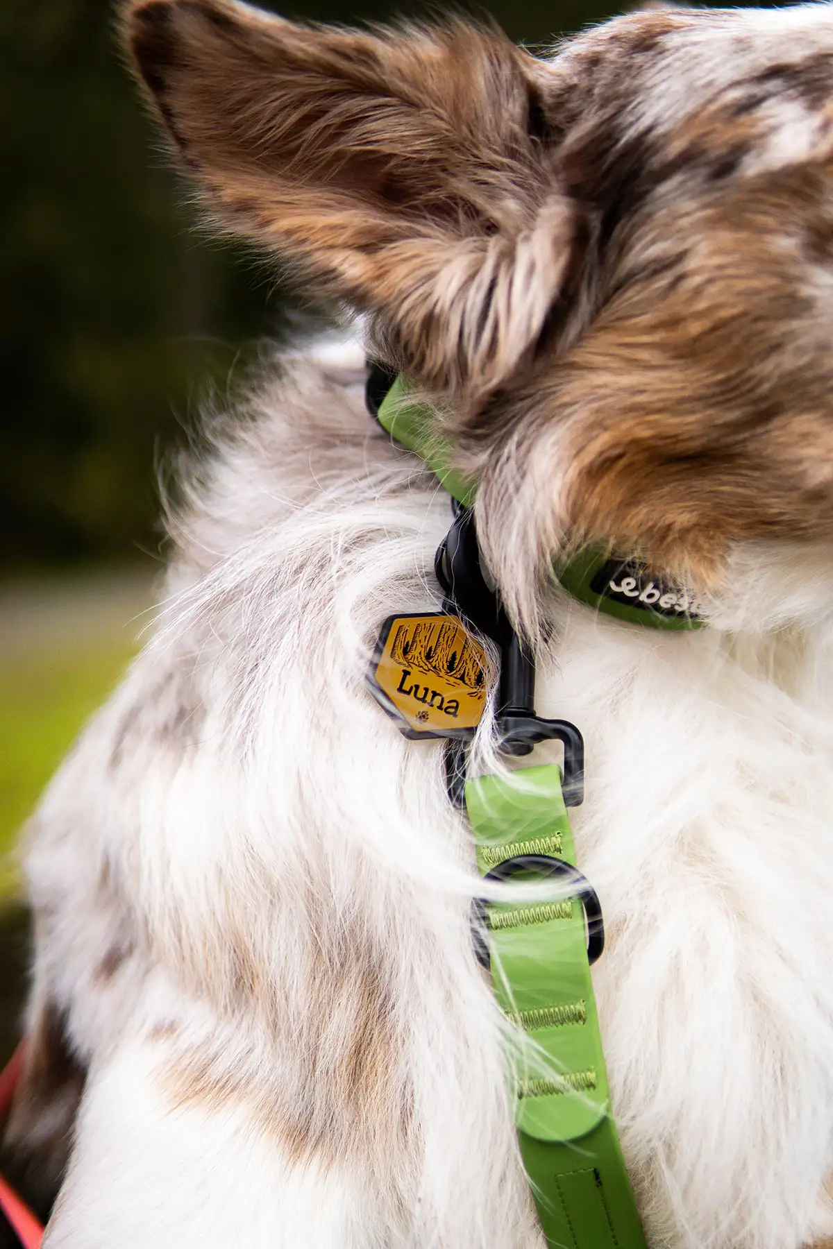 QR Code Camel Brown Silicone ID Tag - Image 6