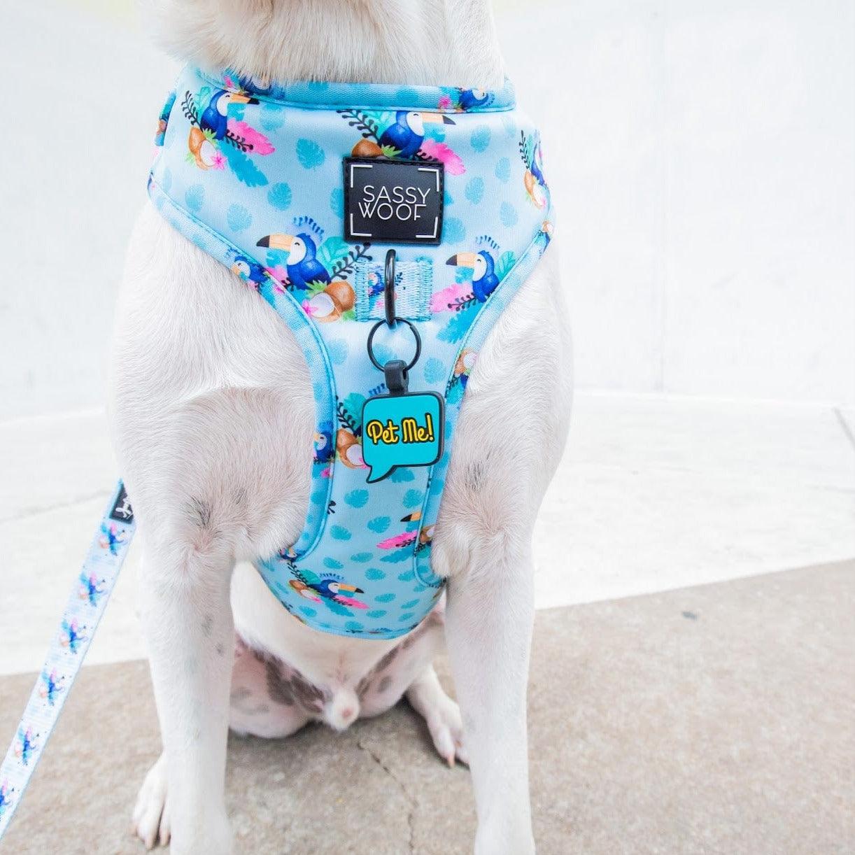 QR Code "Pet Me!" Silicone ID Tag - Image 2