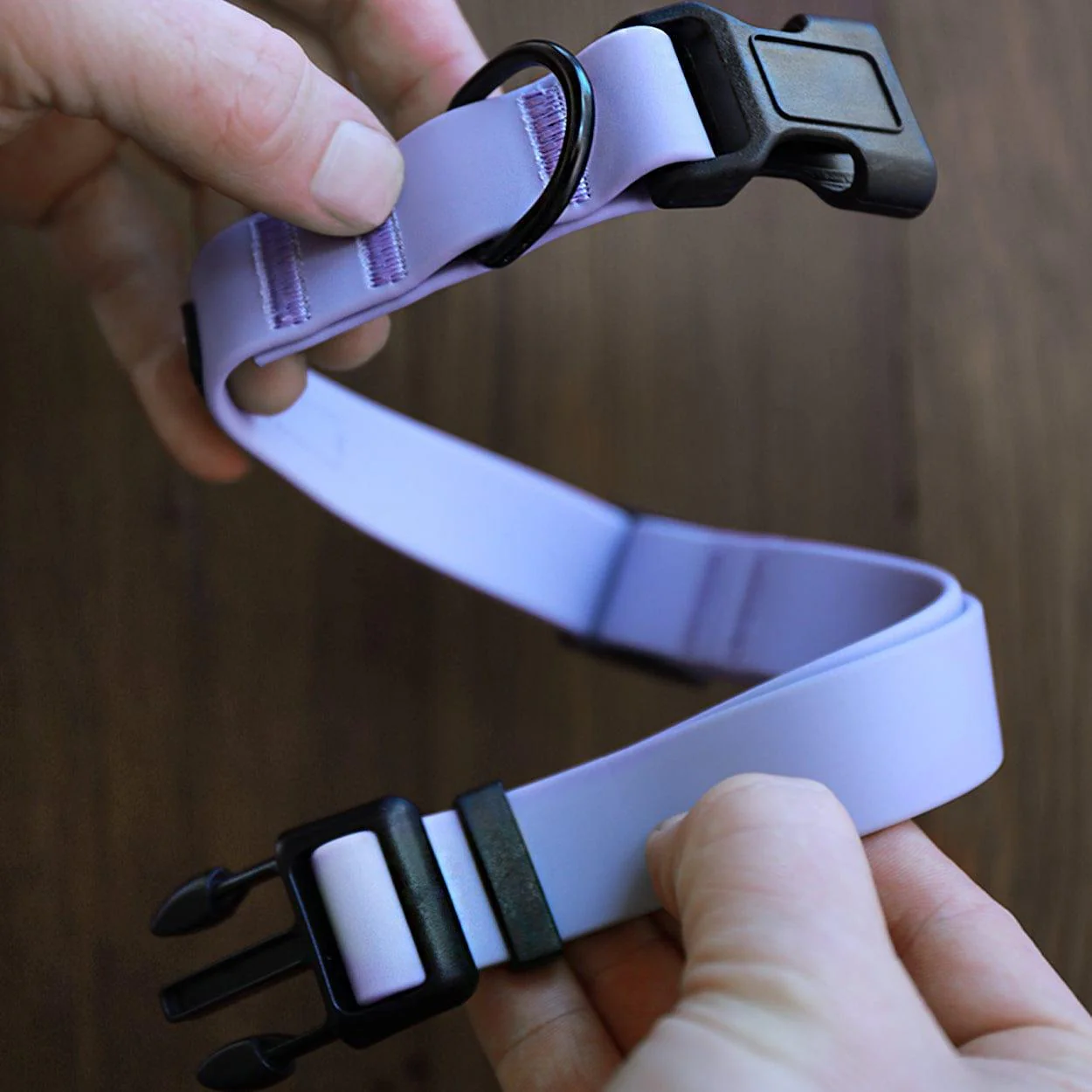 Sage Waterproof Adjustable Dog Collar - Image 3