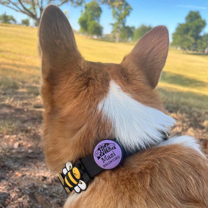 AirTag Holder Slide-On Silicone Pet ID Tag | Design Your Own - Image 11
