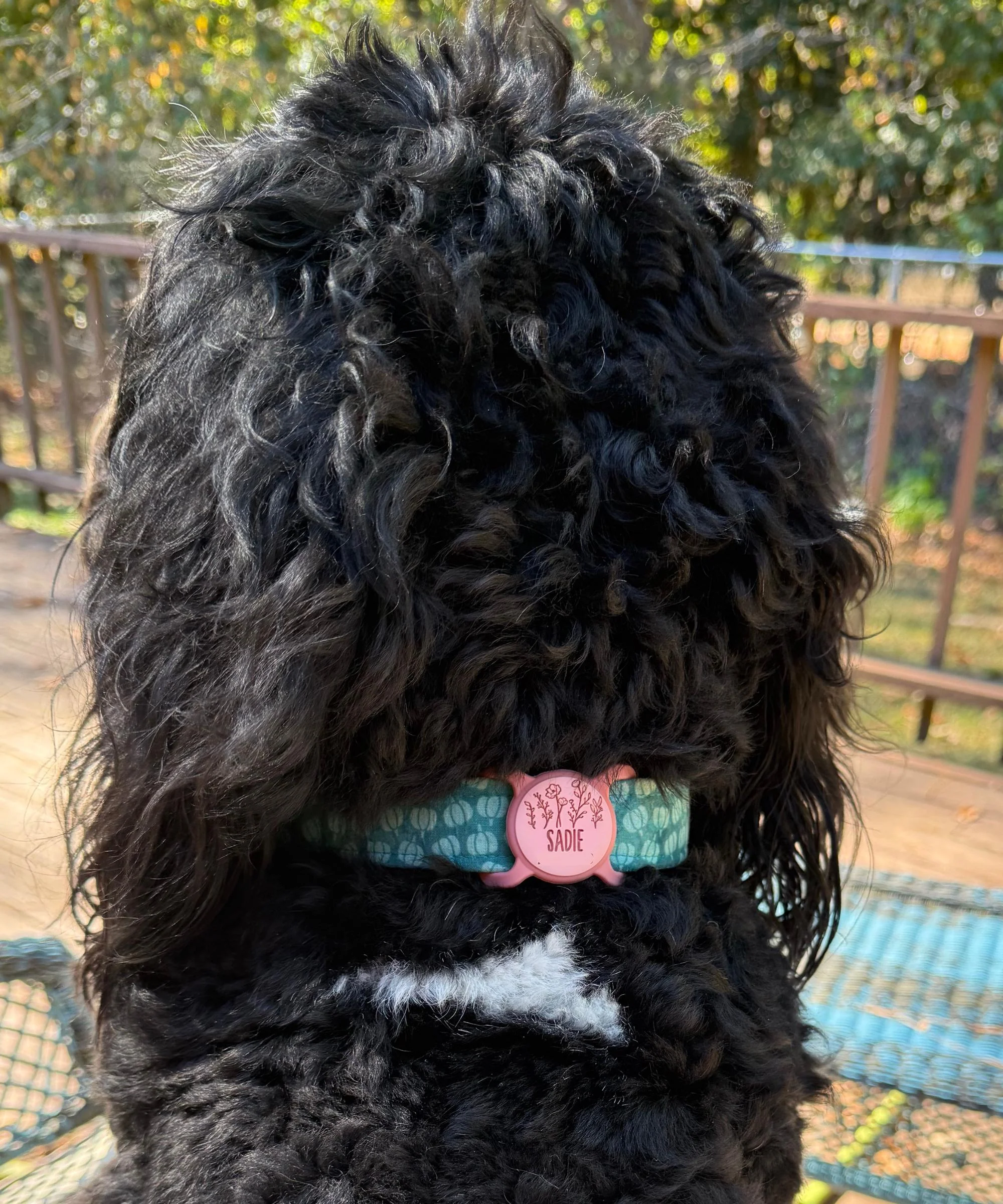Slim Slide-On Silicone Pet ID Tag | St. Patrick's Day - Image 5