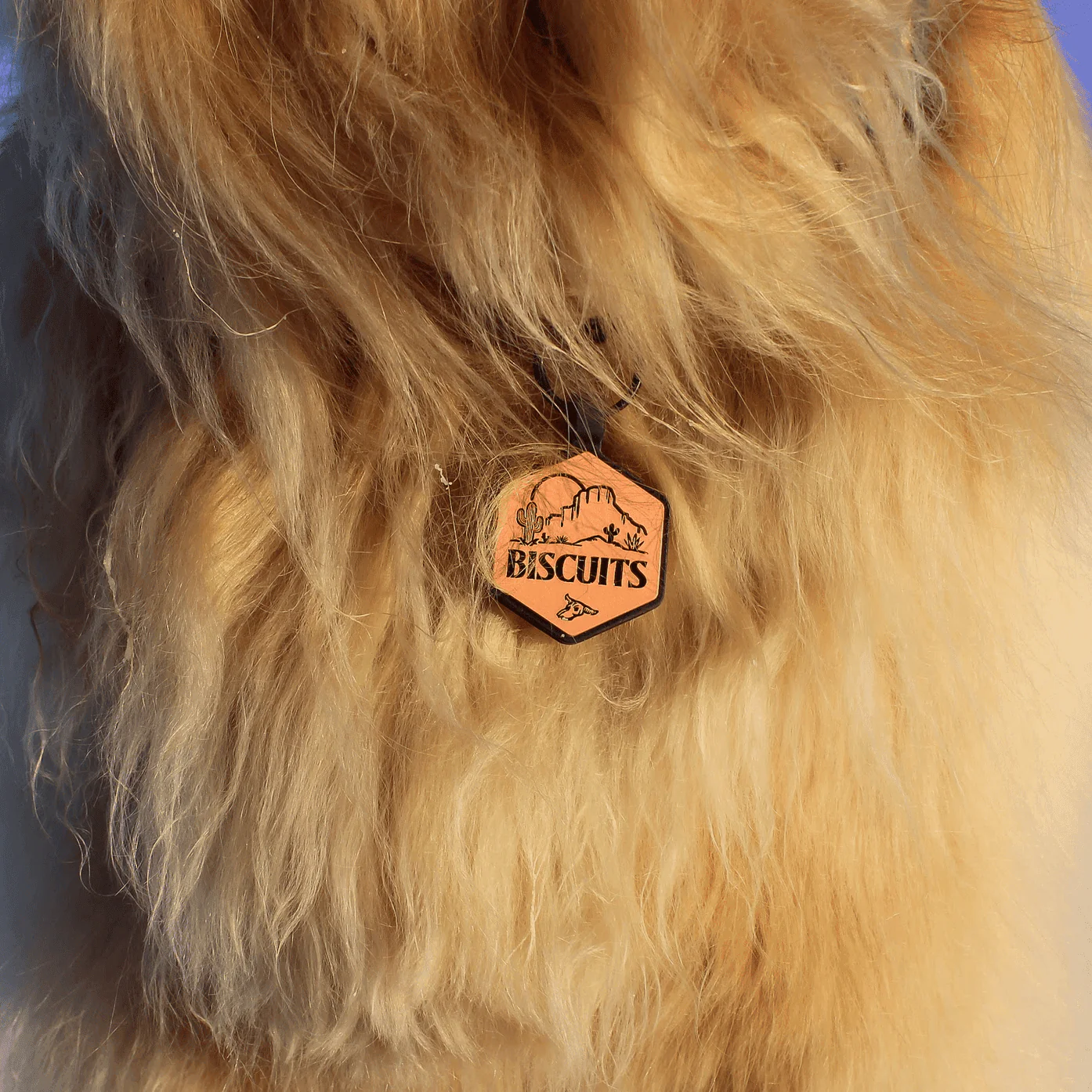 QR Code Terracotta Silicone ID Tag - Image 6