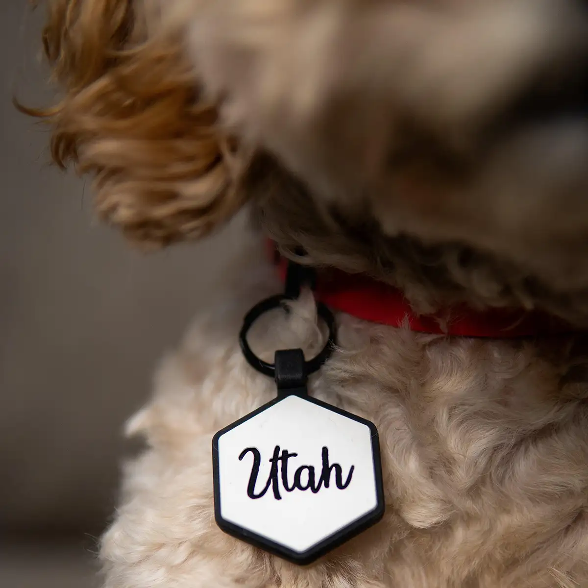 White Silicone ID Tag - Image 5